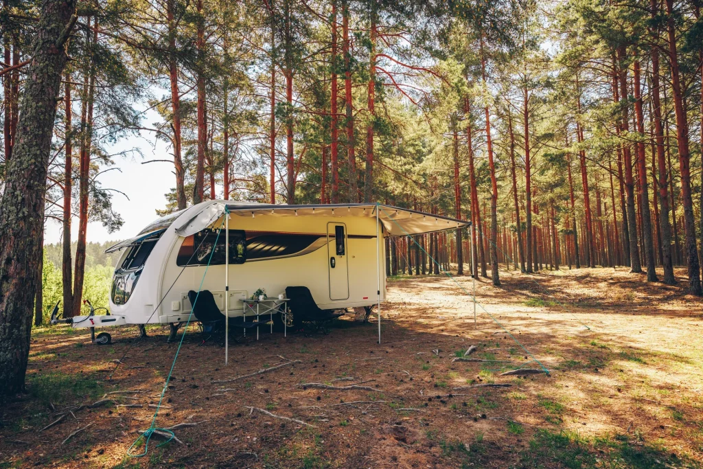 Caravana blanca aparcada bajo los pinos en una zona de acampada